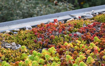 the cost of Fordon green roof installation