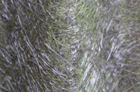 Fordon fibreglass roof work